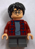 LEGO hp143 Harry Potter (75953)